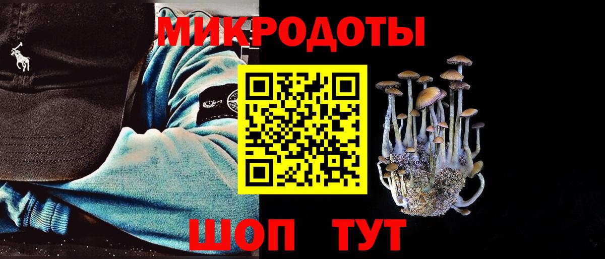 Ставрополь  Галлюциногенные грибы Psilocybe  Вход с VPN  где можно купить   Галлюциногенные грибы Psilocybine cubensis 